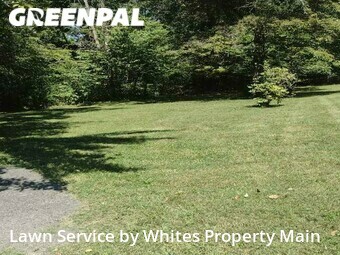Grass Cutting nearby Knoxville, TN, 
