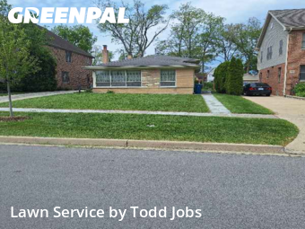 Lawn Mow nearby Elmhurst, IL, 