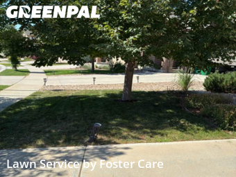 Grass Cuttingin Broomfield,80023,Lawn Cut by Foster Care , work completed in Jan , 2026