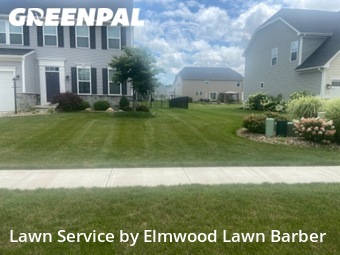 Lawn Mow nearby North Ridgeville, OH, 