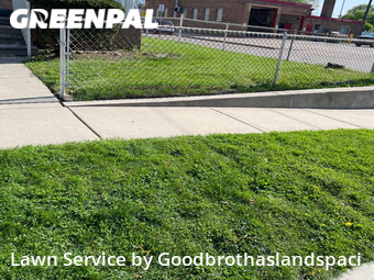 Grass Cut nearby Warren, MI, 