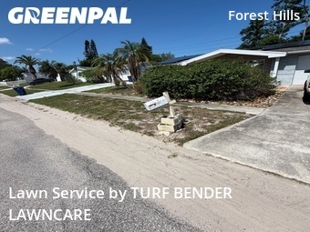 Lawn Cutting nearby Holiday, FL, 