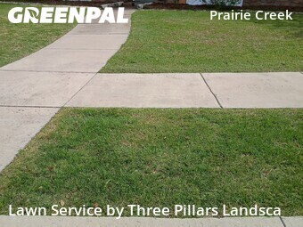 Lawn Care nearby Plano, TX, 