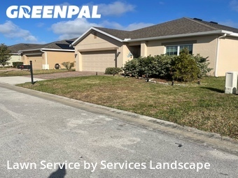 Lawn Cutting nearby Davenport, FL, 