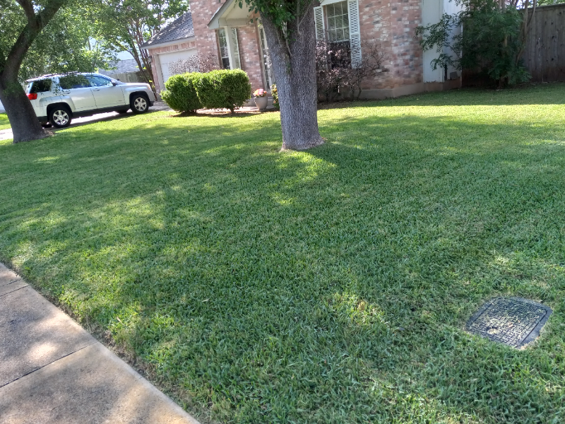 Yard mowing company in Cedar Park, TX, 78613