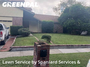 Grass Cut nearby Orlando, FL, 