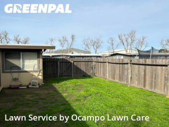 Yard Cutting nearby Mc Clellan Park, CA, 