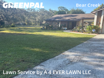 Grass Cutting nearby New Port Richey, FL, 