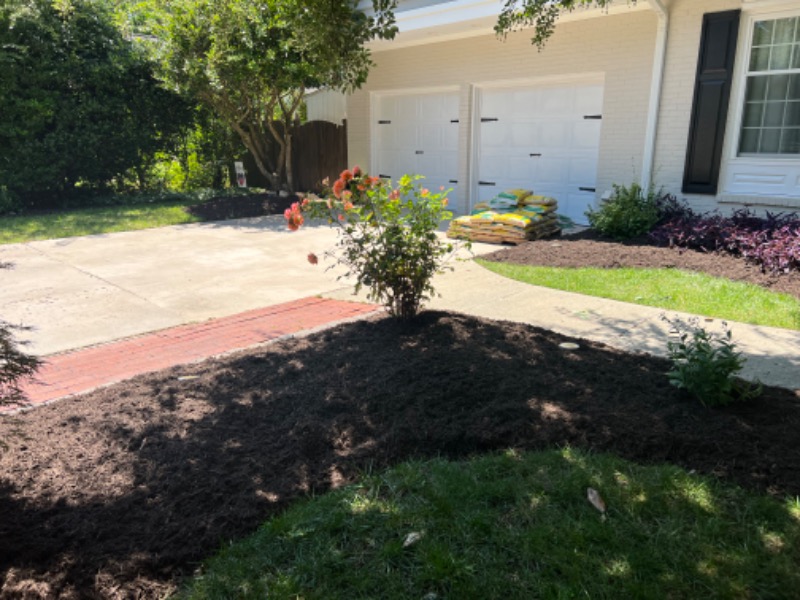 Chesapeake Mowing Lawn Care Services in Chesapeake, VA