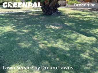 Weed Trimming in Tempe, 85282, Lawn Care by Dream Lawns, work completed in Oct , 2025