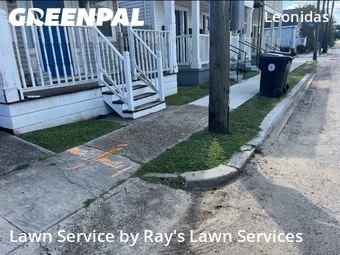 Grass Cut nearby New Orleans, LA, 