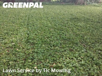 Lawn Care nearby Decatur, IL, 
