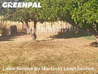 Grass Cutting nearby Sacramento, CA, 
