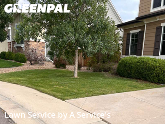 Yard Cutting nearby Thornton, CO, 