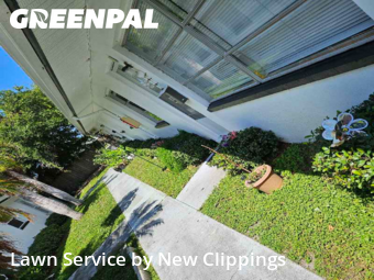 Lawn Mow nearby Clearwater, FL, 