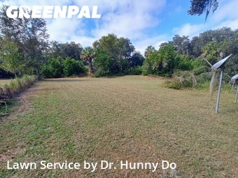 Lawn Care Service nearby Mulberry, FL, 