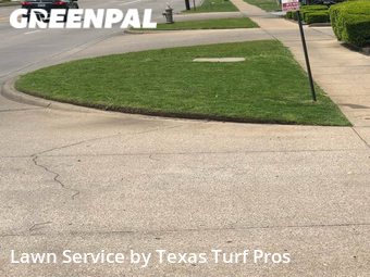 Grass Cut nearby Arlington, TX, 