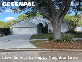 Grass Cut nearby Tampa, FL, 