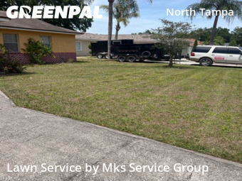 Grass Care in Lake Magdalene, 33618, Weed Trimming by Mks Service Group, work completed in Dec , 2025