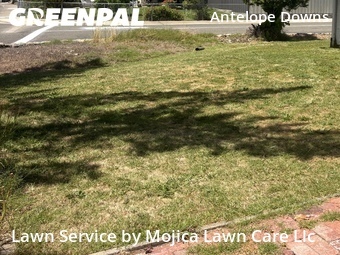 Lawn mowing work completed in Citrus Heights, CA
