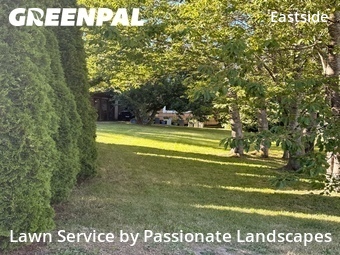 Yard Mowing nearby Tacoma, WA, 