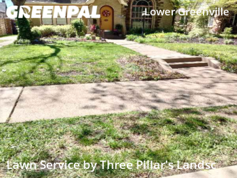 Grass Cut nearby Dallas, TX, 