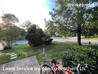 Yard Cutting nearby Morrisville, NC, 