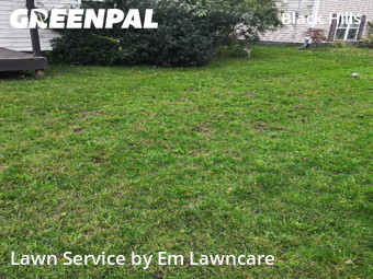 Lawn Mowing Service nearby Grand Rapids, MI, 
