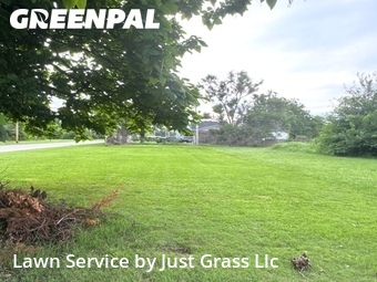 Lawn mowed in East St. Louis, 62205