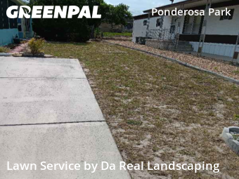 Lawn Maintenance nearby Hudson, FL, 