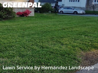Grass Cut nearby Lansdowne, PA, 
