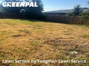 Lawn Maintenance nearby Argyle, TX, 