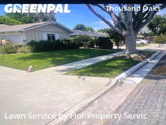 Lawn Cut nearby San Jose, CA, 