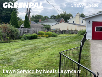 Yard Cutting nearby Lexington, KY, 