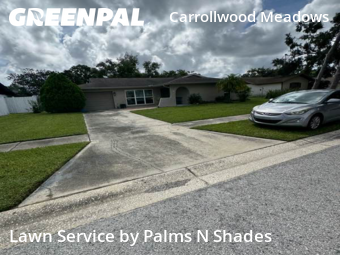 Lawn Cut nearby Tampa, FL, 