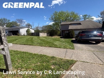 Yard Cutting nearby Lexington, KY, 