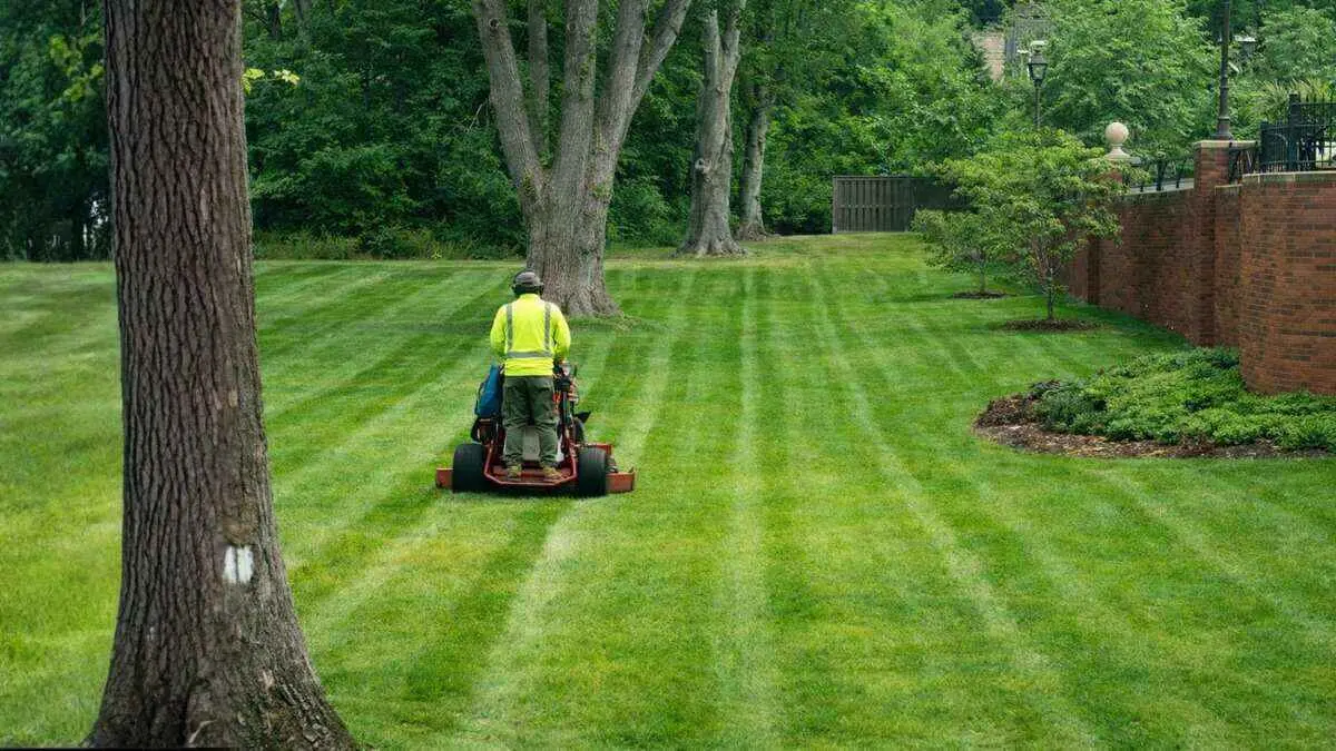 How to Choose the Best Lawn Care Company in Jacksonville (2026)