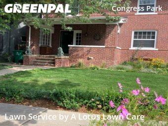 Lawn Cutting nearby Denver, CO, 