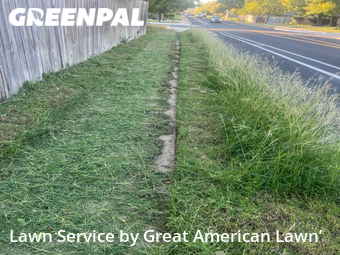 Yard Cutting nearby Leander, TX, 