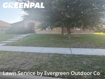 Grass Cut nearby Lancaster, TX, 