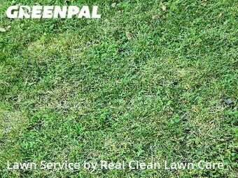 Lawn Service nearby Charlotte, NC, 