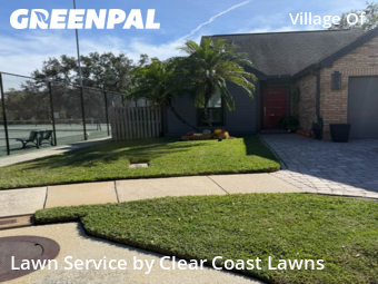 Grass Cuttingin Palm Harbor,34684,Grass Cut by Clear Coast Lawns, work completed in Nov , 2025