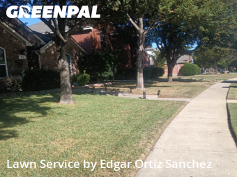 Yard Care in Allen, 75002, Grass Cutting by Edgar Ortiz Sanchez, work completed in Nov , 2025