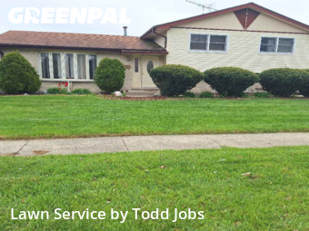 Lawn Mow nearby Des Plaines, IL, 