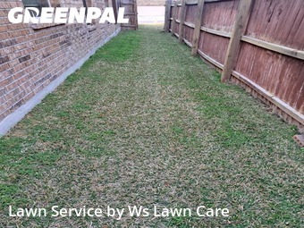 Lawn Cutin Schertz,78108,Lawn Care Service by Ws Lawn Care, work completed in Feb , 2026