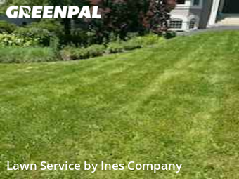 Lawn Cut nearby Downers Grove, IL, 