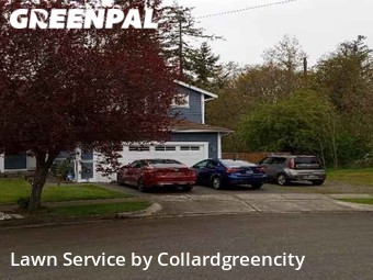 Lawn Maintenance nearby Tacoma, WA, 