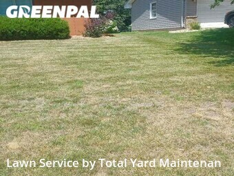 Lawn Mow nearby Woodbury, MN, 