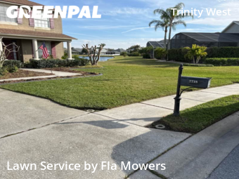 Yard Cutting nearby Trinity, FL, 