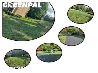 Grass Cut nearby Farmington Hills, MI, 